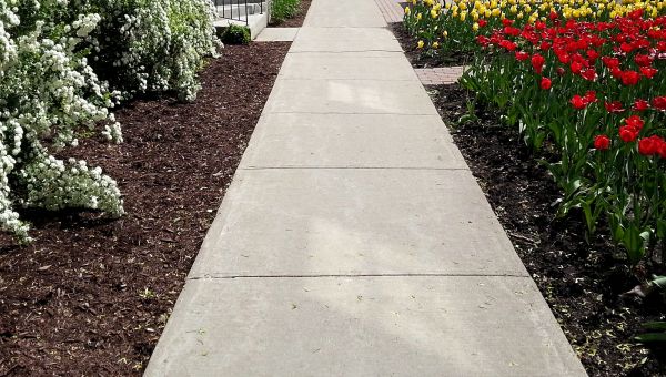 Cost of Cement Sidewalk Installation in Greensboro